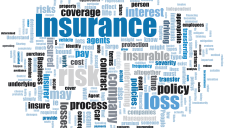 Insurance Need Assessment